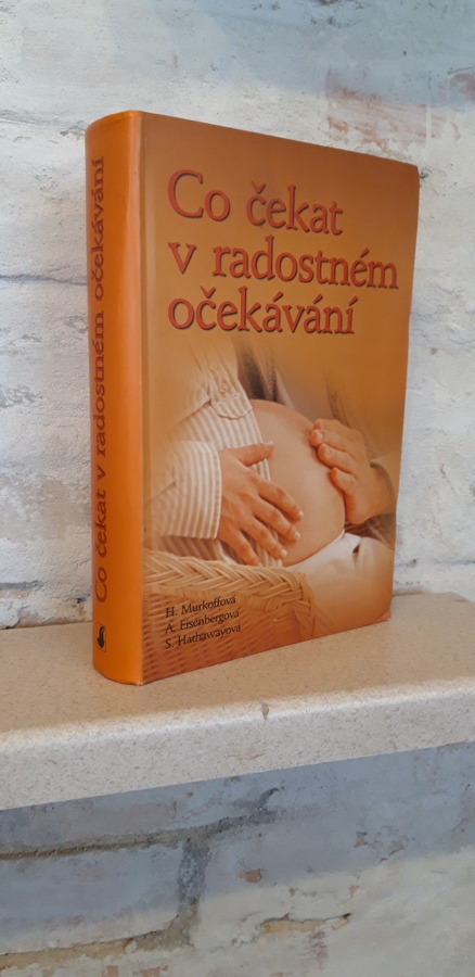 Zavřít okno